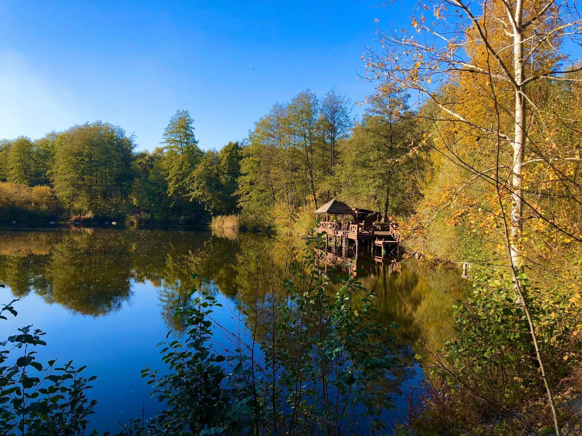 Sports and outdoor activities «Lisotel Country complex» - information